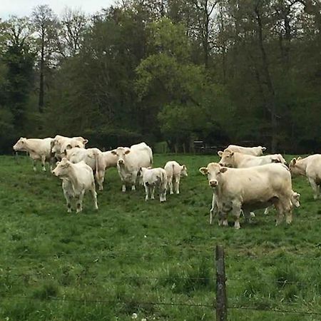 Cottage De Charme A La Campagne Aulnoy Eksteriør billede