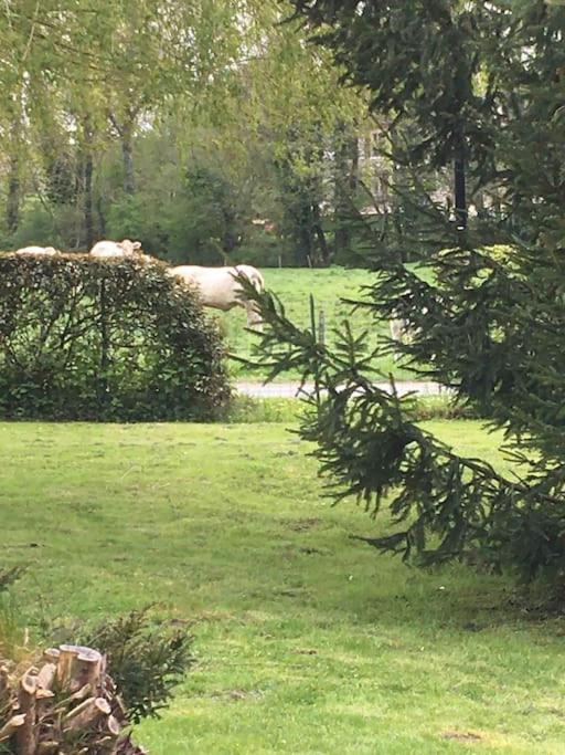 Cottage De Charme A La Campagne Aulnoy Eksteriør billede