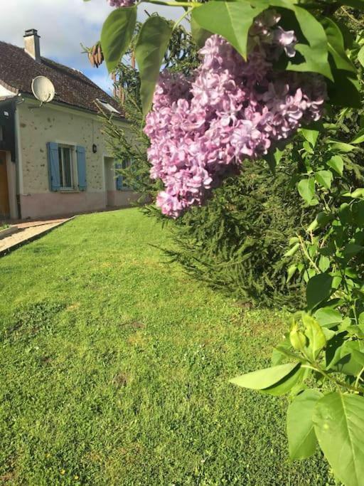Cottage De Charme A La Campagne Aulnoy Eksteriør billede